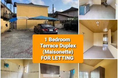 1 BEDROOM TERRACE DUPLEX (Maisonette) FOR LETTING