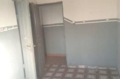 1 bedroom flat / apartment for rent