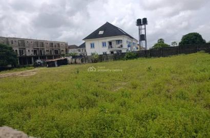Exclusive Opportunity 2 Plots In Built-up Neighborhood