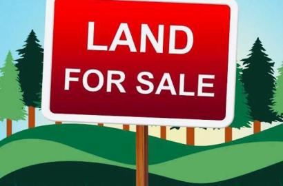 5000 sqm facing the Express, Ologolo