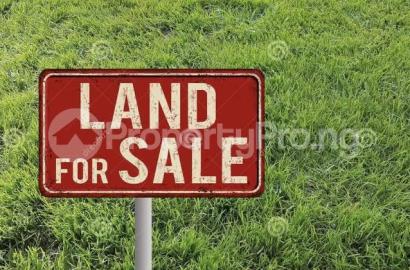 IKOYI CRESCENT! IKOYI CRESCENT!! FOR SALE  VAST PROPERTY IN OLD IKOYI.  Prime land in a beautiful and serene environment  Land size: 20,000sqm
