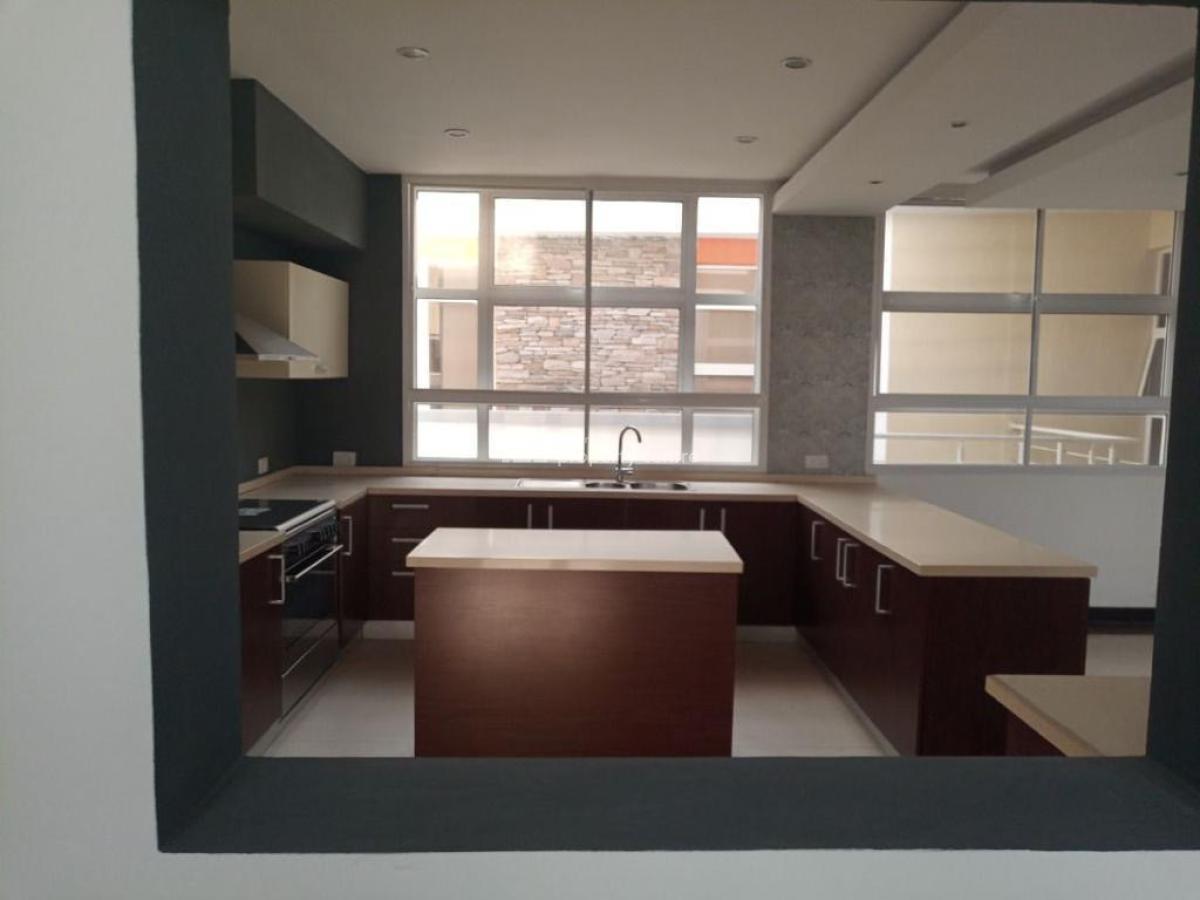 3 bedroom flat / apartment for rent