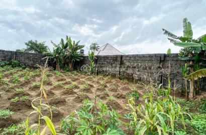 Sharp 4 & Half Plot Of Land Fully Fenced & Gated Measuring 2043.05sqm  for sale Interlockr Road Off Rumuokwurusi-eneka Ring Road Igbo-etche, Port Harcourt, Rivers
