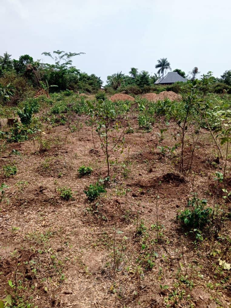 A plot of land for sale at apata Ibadan Oyo state the land is located close to road and has residential property around 2.2m asking price